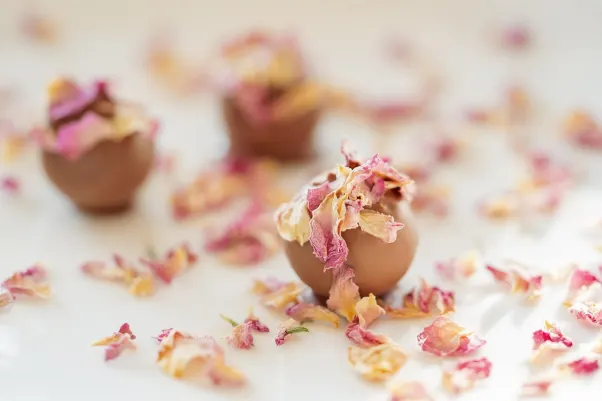 Kasyno Rocket Slots Aplikacja Android/iOS